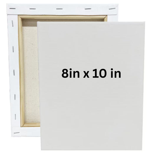 Blank 8in x 10 White Canvas