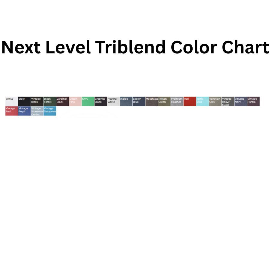 Next Level Triblend T-Shirt 6010