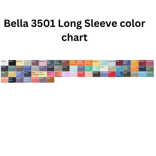 Bella + Canvas Unisex Jersey Long Sleeve Tee 3501
