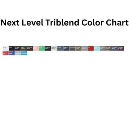 Next Level Triblend  T-Shirt 6010