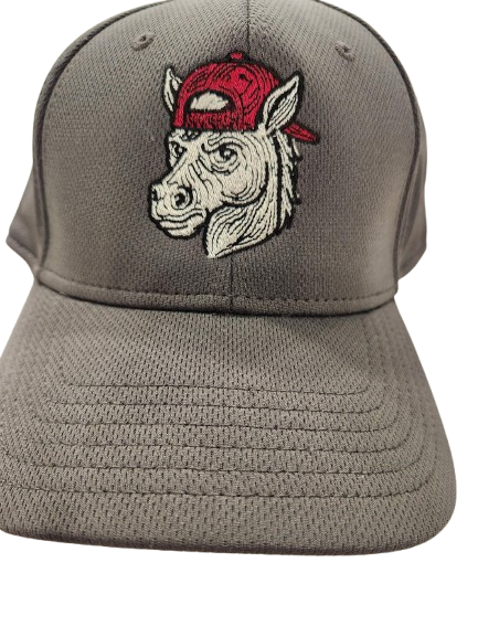 Embroidery Hats