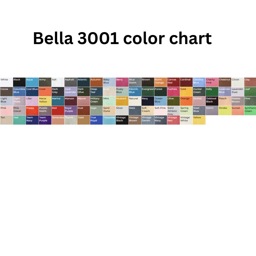 Bella + Canvas Jersey Tee 3001