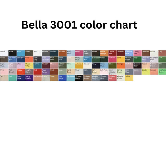 Bella + Canvas Jersey Tee 3001